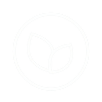 Fórmula Vegan